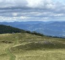 IMG_4645.jpg