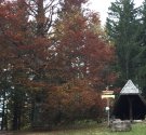 IMG_9599.JPG