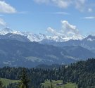 IMG_4180.jpg