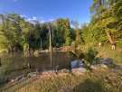 IMG_5884.jpg