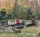 IMG_7117.jpg