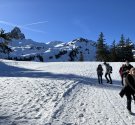 IMG_3581.jpg