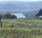 IMG_7019.jpg