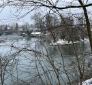 IMG_3542.jpg