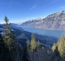 IMG_3582.jpg