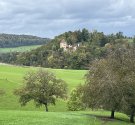 IMG_6992.jpg