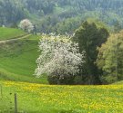 IMG_0989.jpeg