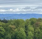 IMG_3889.jpg