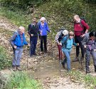 IMG_6995.jpg