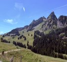 IMG_8581.jpg