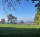 IMG_7050.jpg