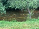 IMG_4259.jpg