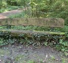 IMG_2004.jpg