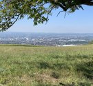 IMG_1996.jpg