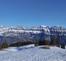 IMG_20240128_100528.jpg