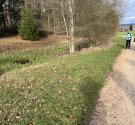 IMG_3589.jpg