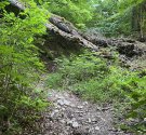 IMG_6394.jpg