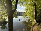 IMG_5883.jpg