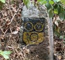 IMG_1359.jpeg