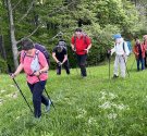 IMG_5992.jpg