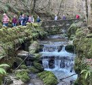 IMG_5521.jpg