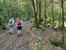 IMG_4472.jpg