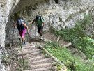 IMG_4703.jpg