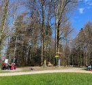 IMG_3745.jpg