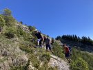 IMG_3390.JPG