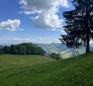 IMG_5984.jpg
