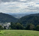 IMG_4894.jpg