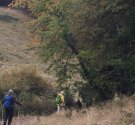 IMG_8695.JPG