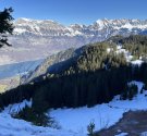 IMG_3577.jpg