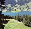 IMG_8586.jpg