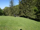 P1100052.JPG