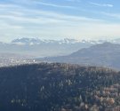 IMG_7113.jpg