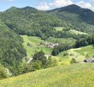 IMG_6011.jpg