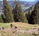 IMG_8572.jpg
