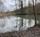IMG_3585.jpg