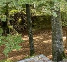 IMG_3191.jpg
