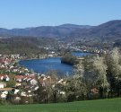 IMG_9879.JPG