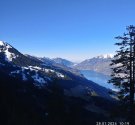IMG_20240128_101951.jpg