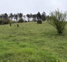 IMG_7878.JPG