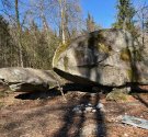 IMG_5484.jpg