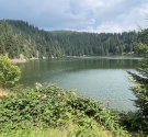 IMG_6750.jpg