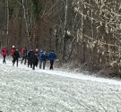 IMG_7351.jpg