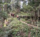 IMG_7882.JPG