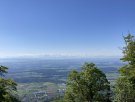 IMG_4367.JPG