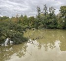 IMG_4968.jpg