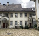 IMG_3755.jpg